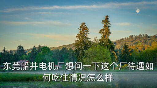 東莞船井電機廠想問一下這個廠待遇如何吃住情況怎么樣