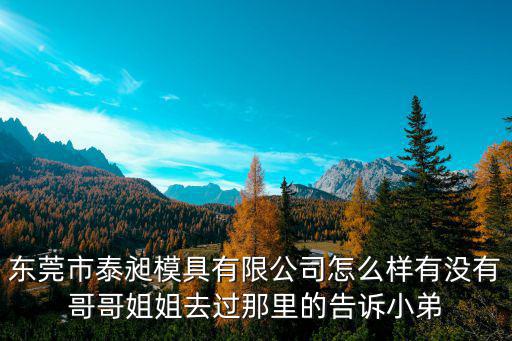 東莞市泰昶模具有限公司怎么樣有沒(méi)有哥哥姐姐去過(guò)那里的告訴小弟