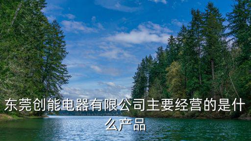 東莞創(chuàng)能電器有限公司主要經(jīng)營的是什么產(chǎn)品