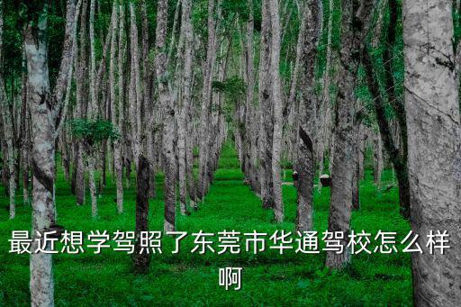 東莞沙田華通，最近想學(xué)駕照了東莞市華通駕校怎么樣啊