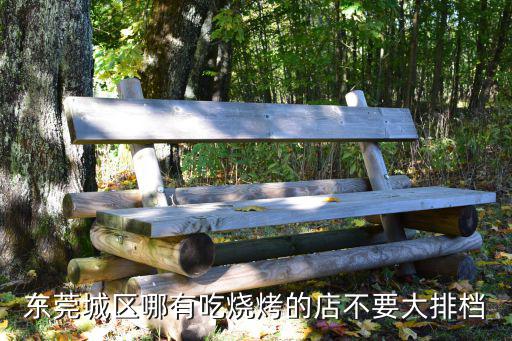 東莞城區哪有吃燒烤的店不要大排檔