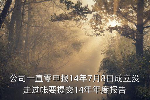 公司一直零申報14年7月8日成立沒走過帳要提交14年年度報告