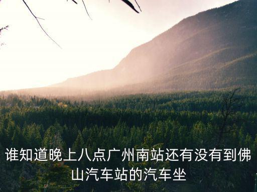誰(shuí)知道晚上八點(diǎn)廣州南站還有沒(méi)有到佛山汽車站的汽車坐