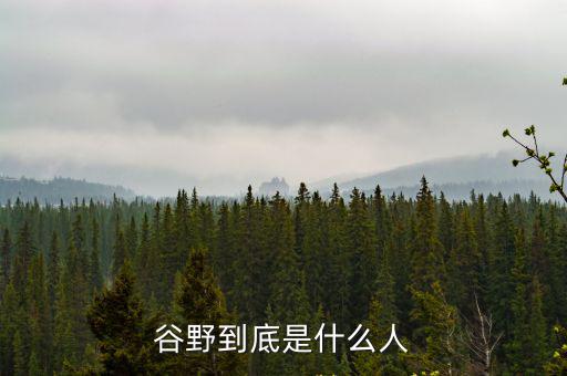 谷野到底是什么人