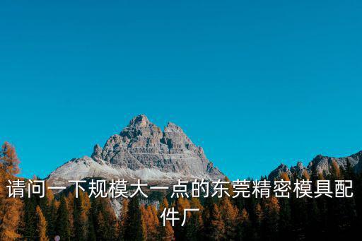 請問一下規(guī)模大一點的東莞精密模具配件廠