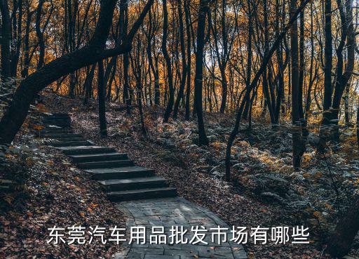 東莞汽車用品批發(fā)市場(chǎng)有哪些