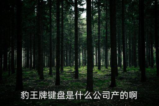 豹王牌鍵盤是什么公司產(chǎn)的啊