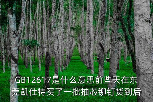 GB12617是什么意思前些天在東莞凱仕特買了一批抽芯鉚釘貨到后