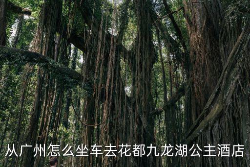 從廣州怎么坐車去花都九龍湖公主酒店