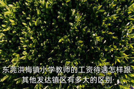 東莞洪梅鎮小學教師的工資待遇怎樣跟其他發達鎮區有多大的區別