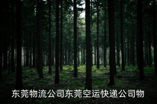 東莞物流公司東莞空運快遞公司物