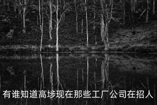 有誰知道高埗現在那些工廠公司在招人