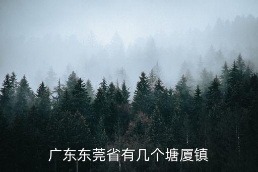 廣東東莞省有幾個塘廈鎮
