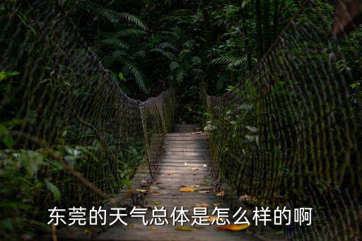東莞的天氣總體是怎么樣的啊
