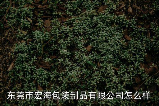 東莞市宏海包裝制品有限公司怎么樣