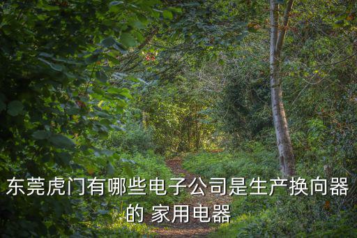 東莞虎門有哪些電子公司是生產換向器的 家用電器
