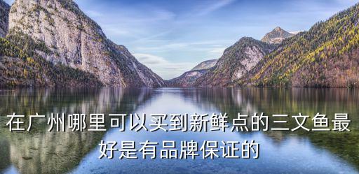 在廣州哪里可以買到新鮮點的三文魚最好是有品牌保證的
