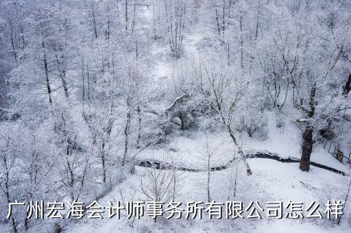 廣州宏海會計師事務所有限公司怎么樣
