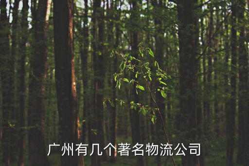 廣州有幾個著名物流公司
