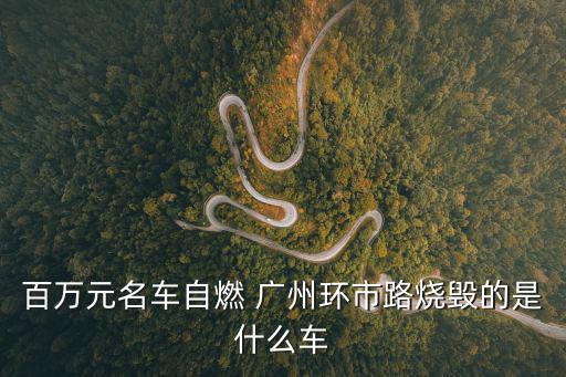 百萬元名車自燃 廣州環(huán)市路燒毀的是什么車