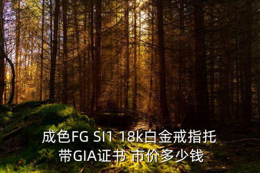 成色FG SI1 18k白金戒指托 帶GIA證書 市價多少錢