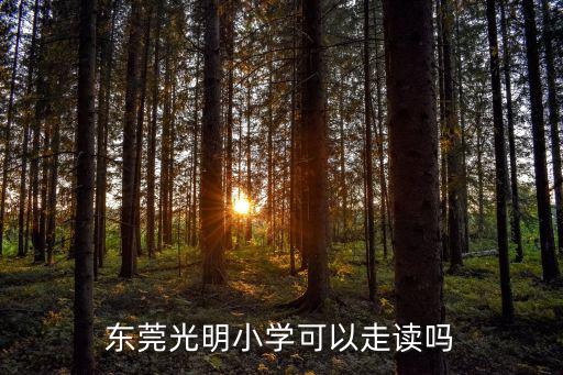 東莞光明小學可以走讀嗎