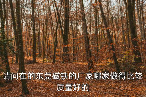 請問在的東莞磁鐵的廠家哪家做得比較質量好的