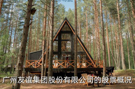 廣州友誼集團(tuán)股份有限公司的股票概況
