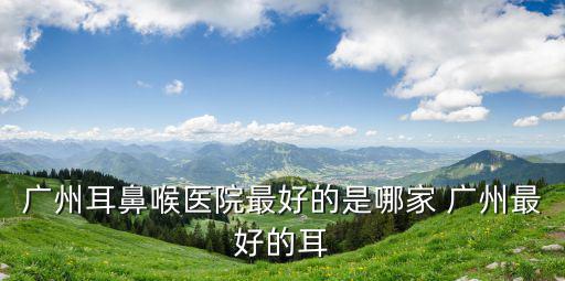 廣州耳鼻喉醫(yī)院最好的是哪家 廣州最好的耳