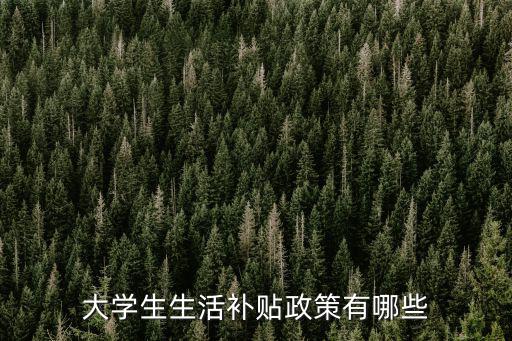 大學(xué)生生活補貼政策有哪些