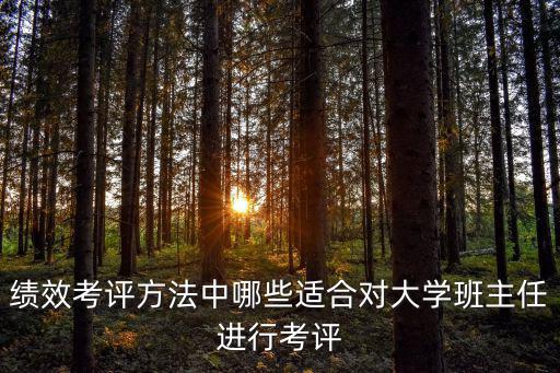 績效考評方法中哪些適合對大學班主任進行考評