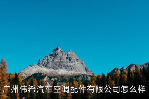 廣州偉希汽車空調(diào)配件有限公司怎么樣