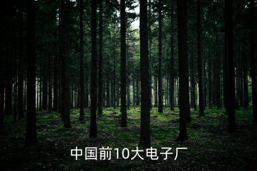 中國前10大電子廠