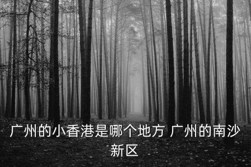 廣州的小香港是哪個地方 廣州的南沙新區