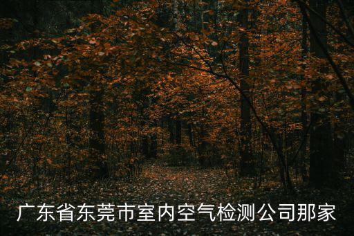 廣東省東莞市室內(nèi)空氣檢測公司那家