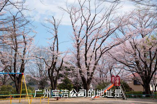 廣州寶潔公司的地址是