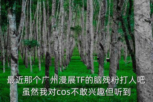最近那個廣州漫展TF的腦殘粉打人吧雖然我對cos不敢興趣但聽到