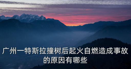 廣州一特斯拉撞樹后起火自燃造成事故的原因有哪些