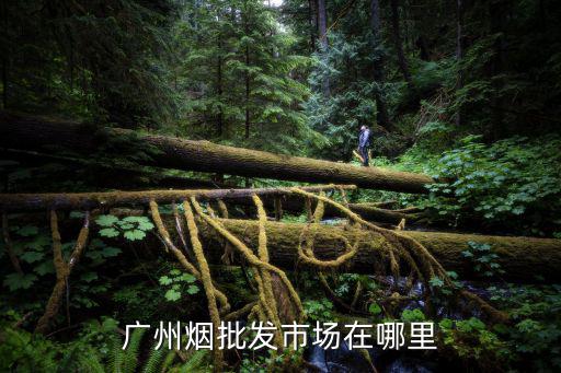 廣州煙批發(fā)市場(chǎng)在哪里