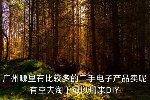廣州哪里有比較多的二手電子產品賣呢有空去淘下可以用來DIY