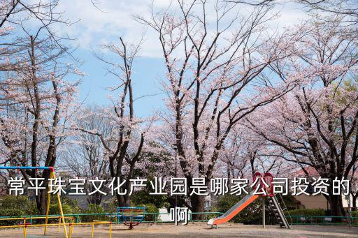 常平珠寶文化產業園是哪家公司投資的啊