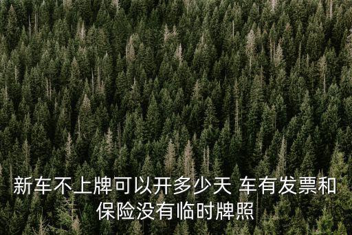 新車不上牌可以開多少天 車有發(fā)票和保險(xiǎn)沒有臨時(shí)牌照