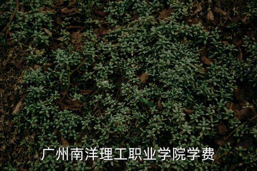 廣州南洋理工職業學院，廣州南洋理工職業學院是怎樣的學校