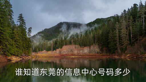 誰知道東莞的信息中心號碼多少