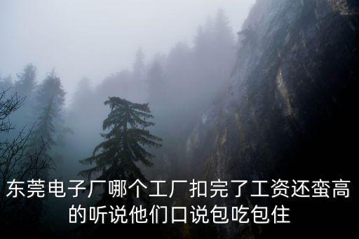 東莞電子廠哪個工廠扣完了工資還蠻高的聽說他們口說包吃包住