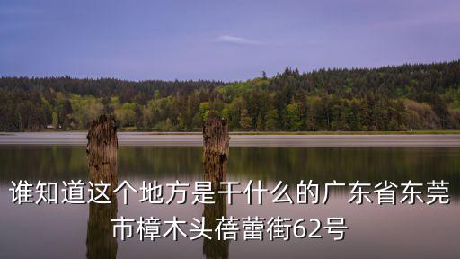 誰知道這個地方是干什么的廣東省東莞市樟木頭蓓蕾街62號