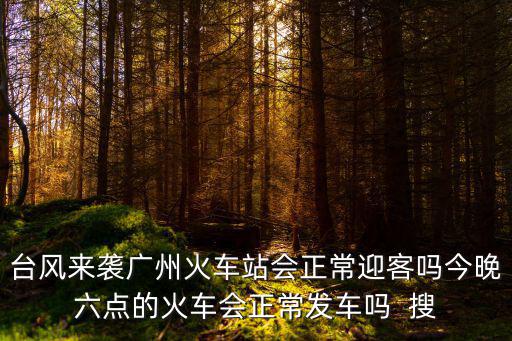 臺風來襲廣州火車站會正常迎客嗎今晚六點的火車會正常發車嗎  搜