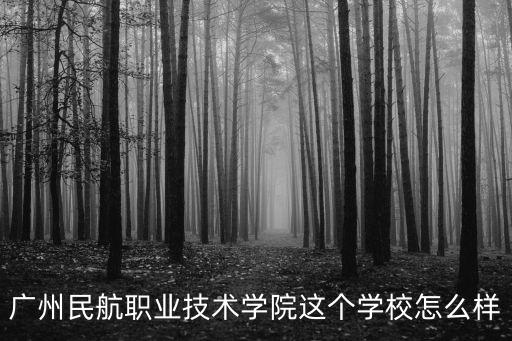 廣州民航職業(yè)技術(shù)學(xué)院，廣州民航職業(yè)技術(shù)學(xué)院這個(gè)學(xué)校怎么樣
