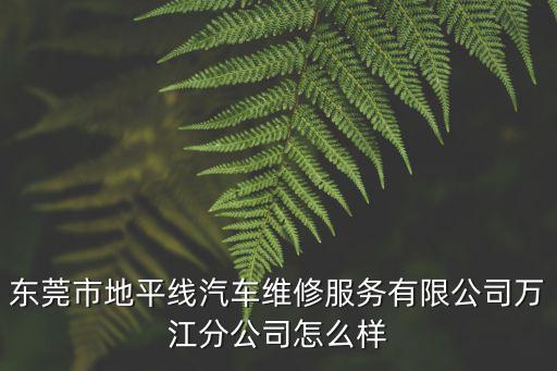 東莞市地平線汽車維修服務有限公司萬江分公司怎么樣