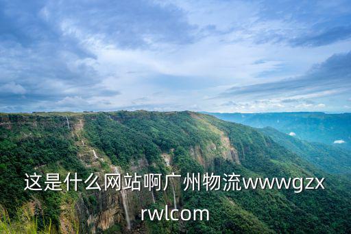 這是什么網(wǎng)站啊廣州物流wwwgzxrwlcom
